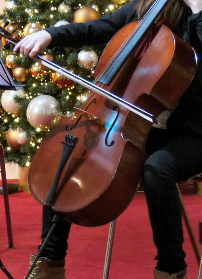 Violoncello